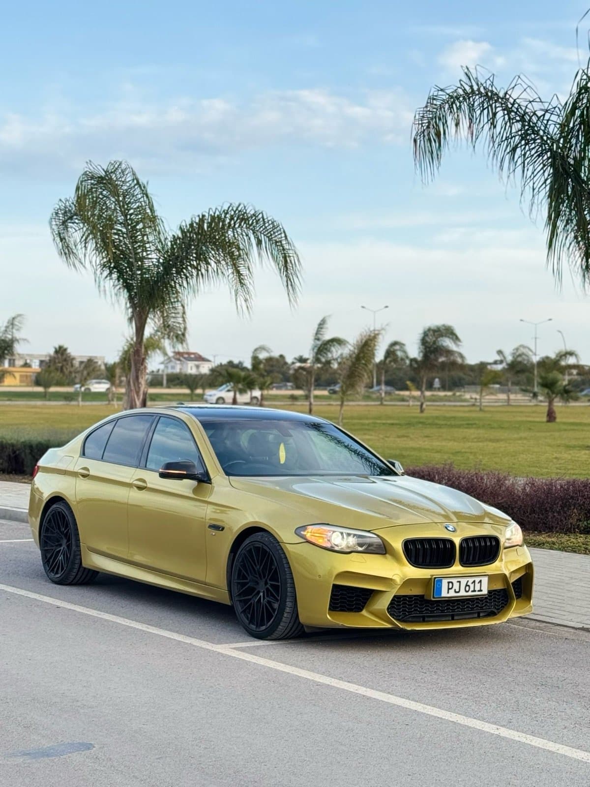 2013 BMW 520d