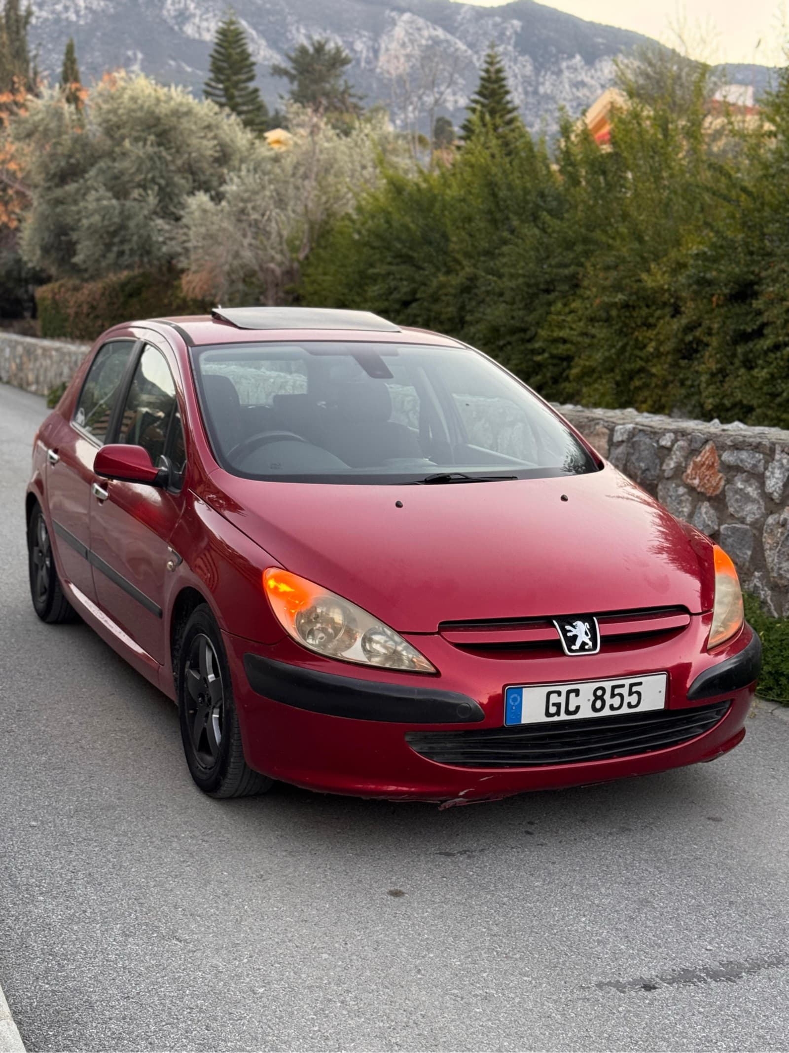 2005 Peugeot 307