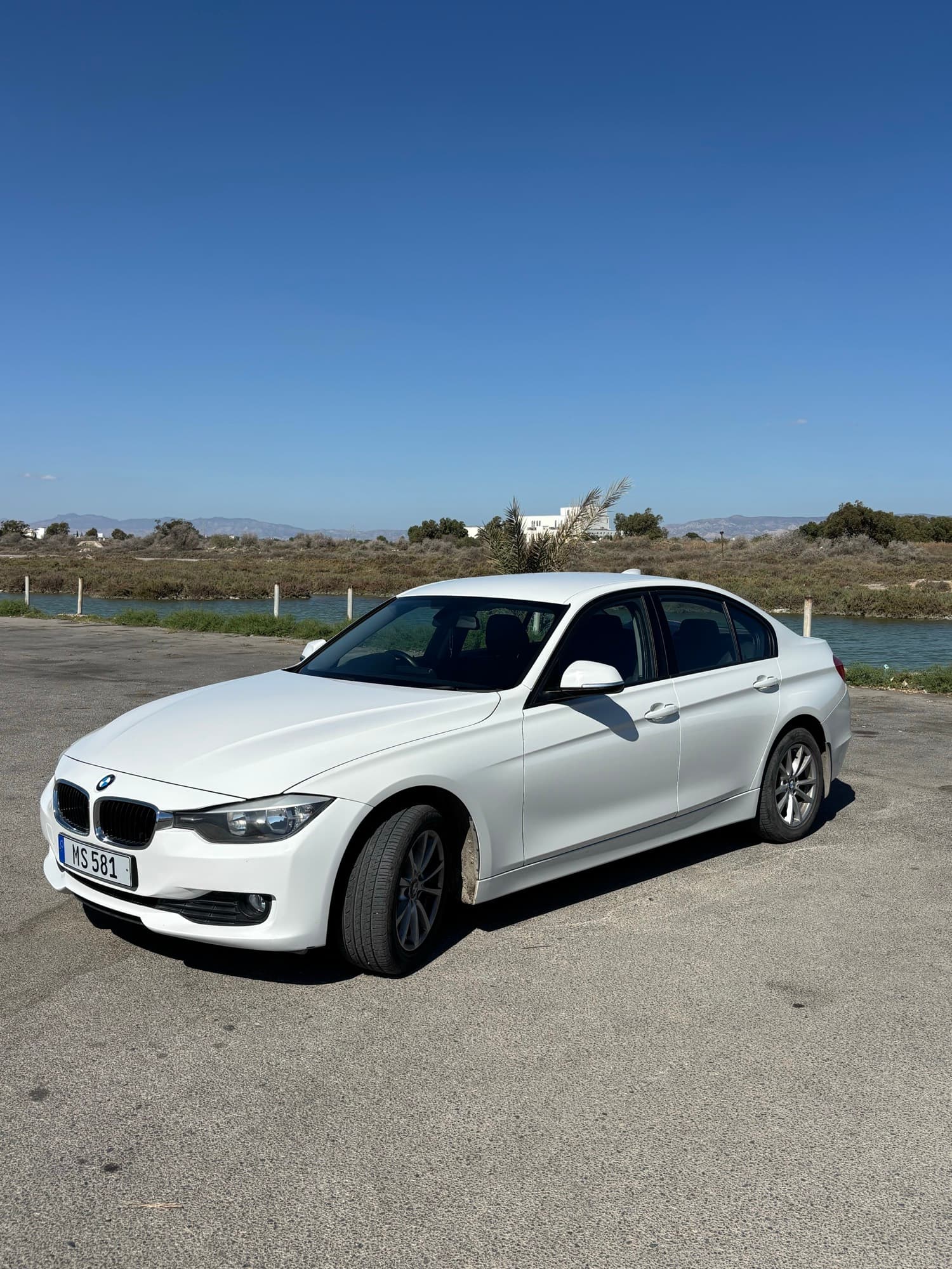 2014 BMW 316i