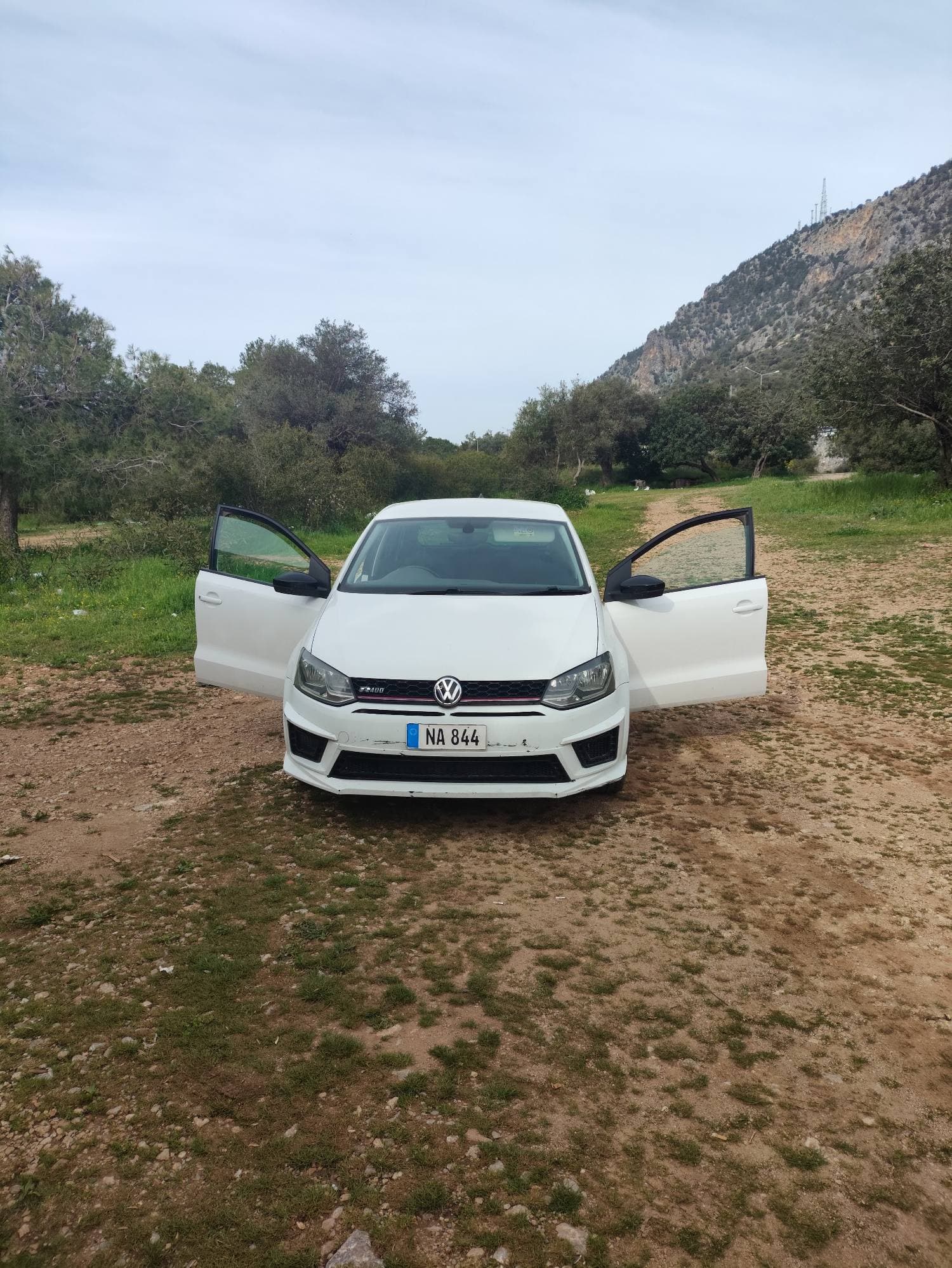 2015 Volkswagen Polo